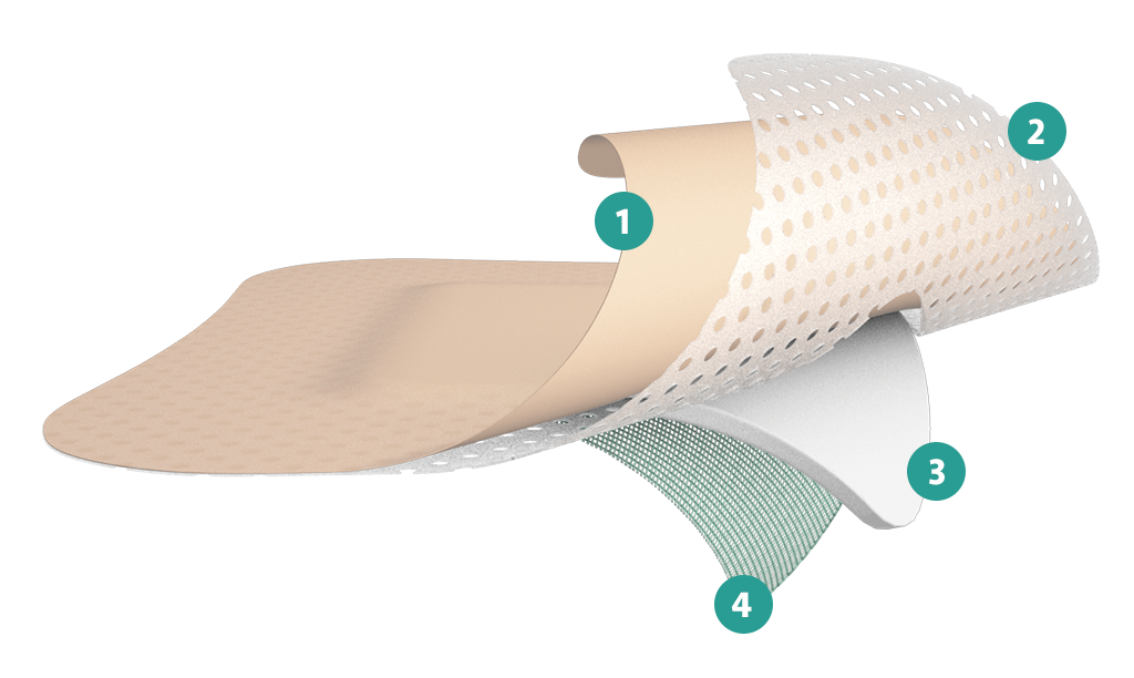 Illustration of Sorbact foam gentle border dressing layers in detail.